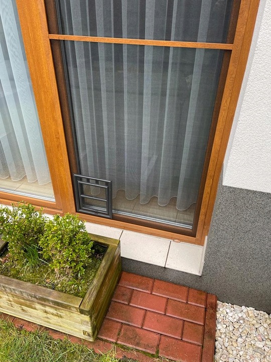 DRZWICZKI moskitiery dla kota i psa (ras małych)