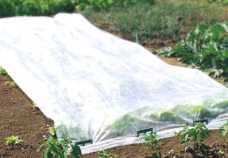 Agrowłóknina okryciowa BRADAS 1,6x5 Biała Wiosenno Zimowa AWW3016005