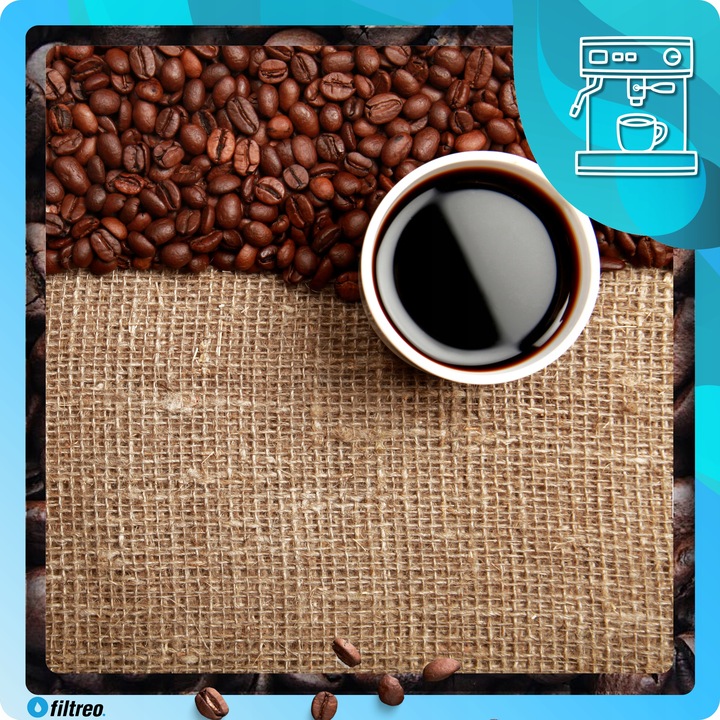 Odkamieniacz do ekspresu Philips Latte Go 250ml w PŁYNIE ORYGINALNY CA6700