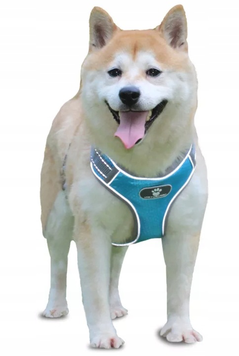 SZELKI DLA PSA MOCNE TYPU GUARD SPACEROWE BEZUCISKOWE REGULOWANE rozmiar M