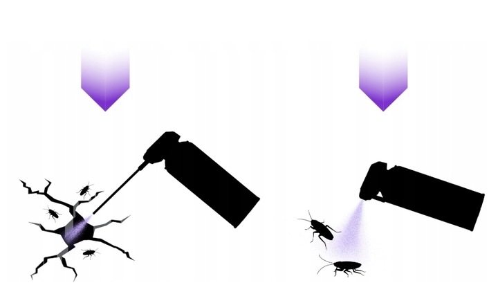 MIOTACZ NA KARALUCHY ŚRODEK NA KARALUCHY AEROZOL Z RURKĄ STRONG 400 ML