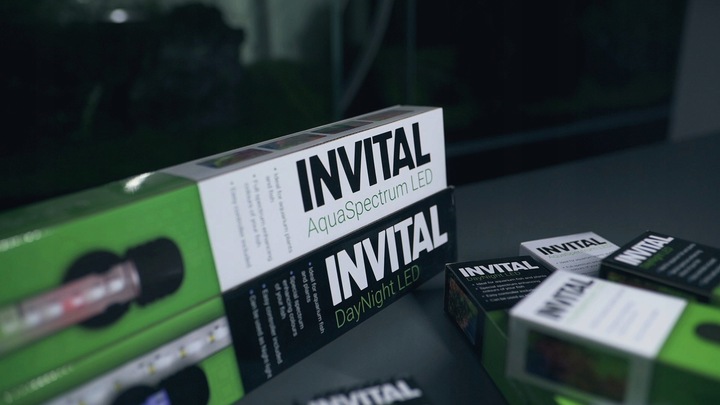 INVITAL DayNight LED 13,2W 58,5cm