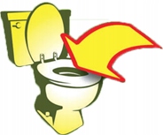 Green Cat Naturalny żwirek zbrylający 24L Biodegra