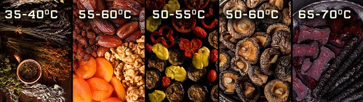 SUSZARKA DO GRZYBÓW OWOCÓW ZIÓŁ WARZYW SPOŻYWCZA REGULACJA TEMPERATURY