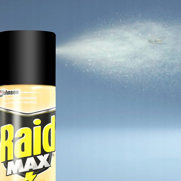 3X SPRAY NA OWADY BIEGAJĄCE RAID MAX AEROZOL PRZECIW KARALUCHOM
