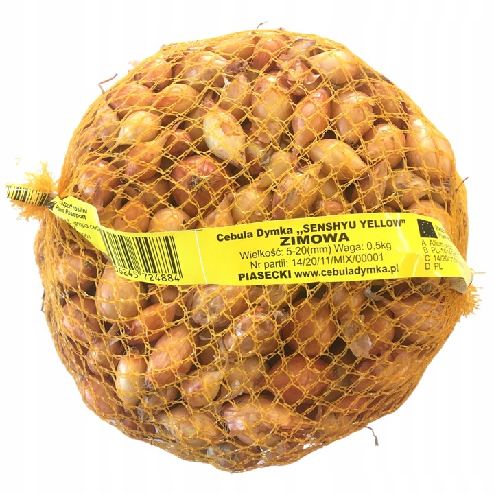 Zimowy zestaw do sadzenia cebula dymka - 2x500g