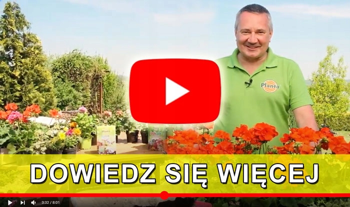 SIEWNIK DO TRAWY NAWOZU RĘCZNY ROZSIEWACZ Z WYSUWANYM WSPORNIKIEM 3 L