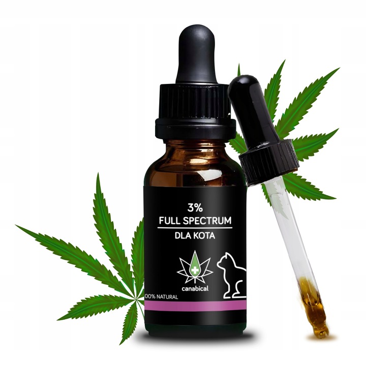 Olejek CBD Full Spectrum 3% 10 ml dla Kotka Kota od farmaceuty bezpieczny