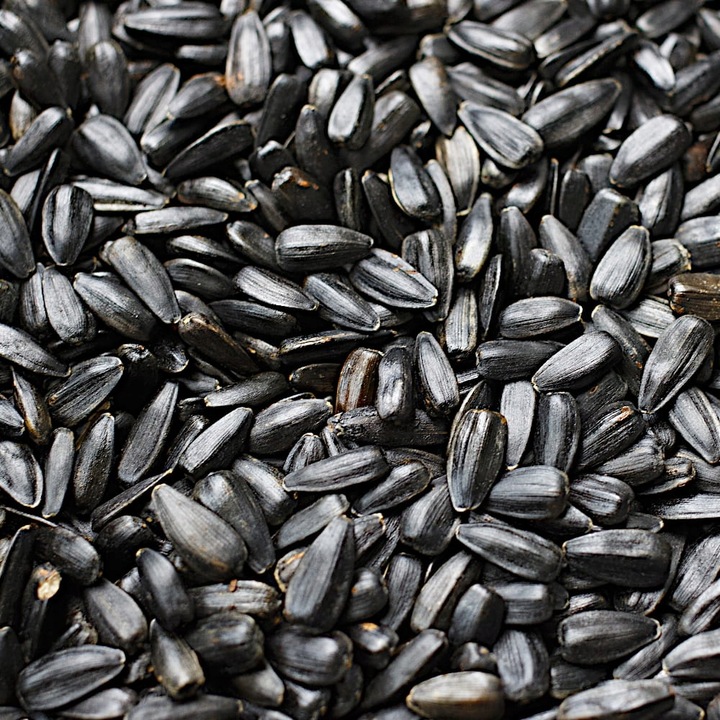SŁONECZNIK CZARNY PREMIUM Drobny DLA PTAKÓW I NA POPLON ziarno 20KG