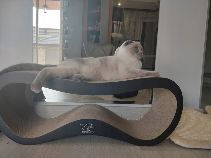 DRAPAK DLA KOTA KARTONOWY DUŻY LEGOWISKO 75x26x25 cm HomeCatty