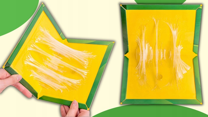 50x PUŁAPKA NA MYSZY SZCZURY MYSZOŁAPKA SILNY KLEJ LEP AROMAT MOCNA