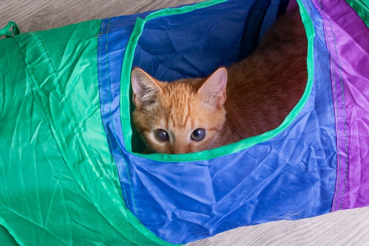 ZABAWKA TUNEL DLA KOTA SZELESZCZĄCY DŁUGI TUNEL DLA KOTA Z ZABAWKAMI XXL