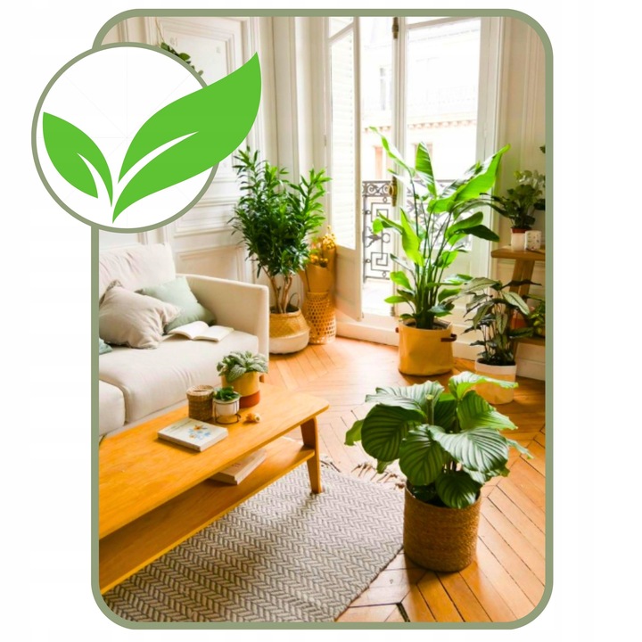 Podłoże BIGOS Lekka Ziemia do kwiatów roślin zielonych 5L Mieszanka