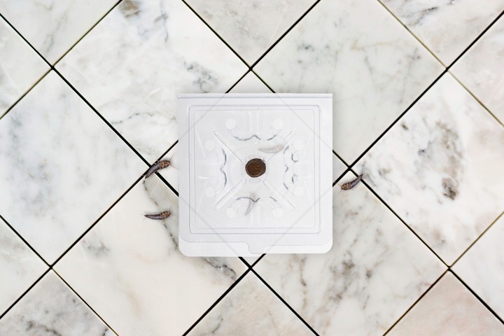 PUŁAPKA LEP NA RYBIKI CUKROWE SREBRZYKI SILNY ATRAKTANT 4 SZTUKI NO