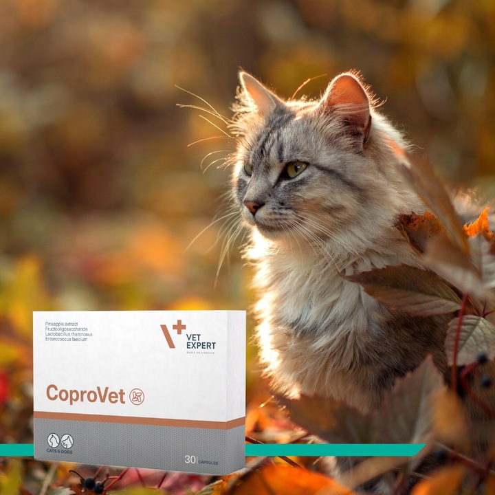 Suplement dla psów i kotów przeciw zjadaniu odchodów Vet Expert Coprovet