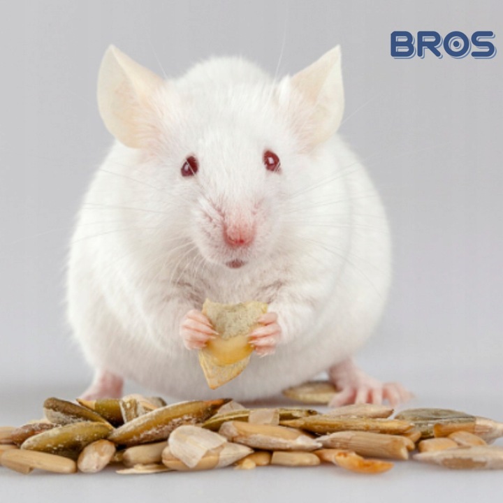 BROS LEP NA MYSZY SZCZURY GRYZONIE PUŁAPKA KLEJOWA WABIĄCA ZAPACHEM 12