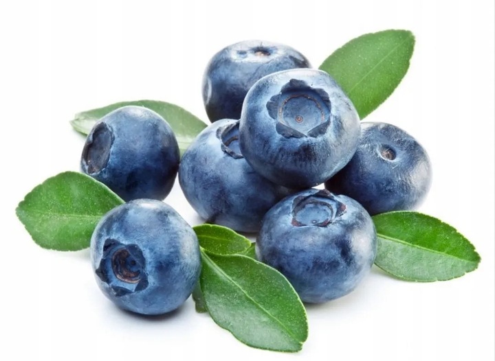 ZIEMIA PODŁOŻE DO BORÓWKI Z NAWOZEM KWAŚNA TORF ROŚLIN KWASOLUBNYCH