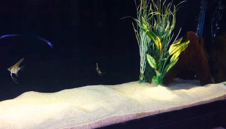 PIASEK KWARCOWY DO AKWARIUM - NAJCZYSTSZY 0,5-1,2 15 KG Drobny, Jasny