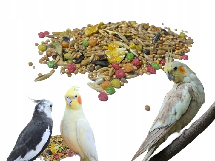 Karma Jedzenie Pokarm Z Słonecznikiem Dla Ptaków Papug Średnich Nimfa