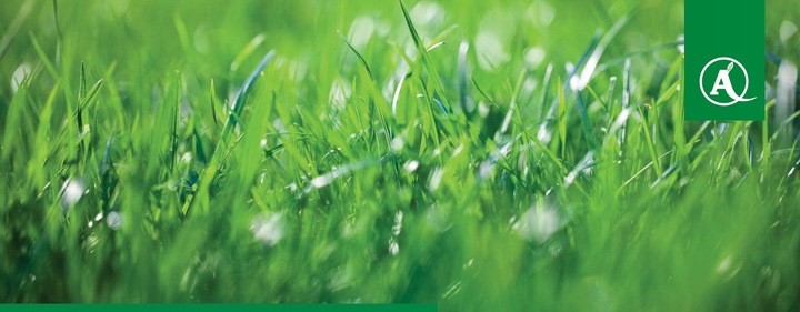 Nawóz do trawy uniwersalny YARA MILA Complex 5kg