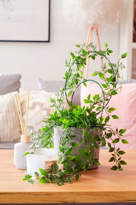 Podpora do kwiatów doniczkowych drabinka tyczka palik 3szt zielona storczyk