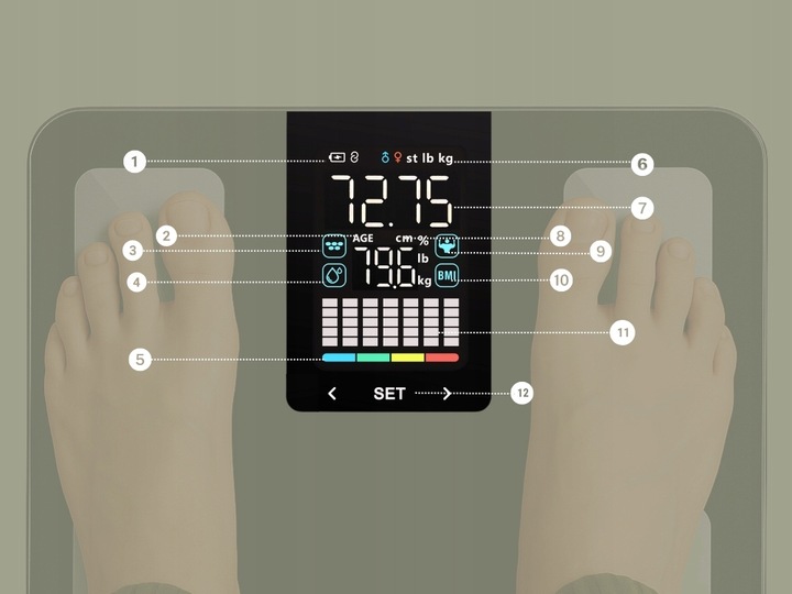 Waga Łazienkowa Elektroniczna Alpha - Aplikacja po Polsku Analityczna