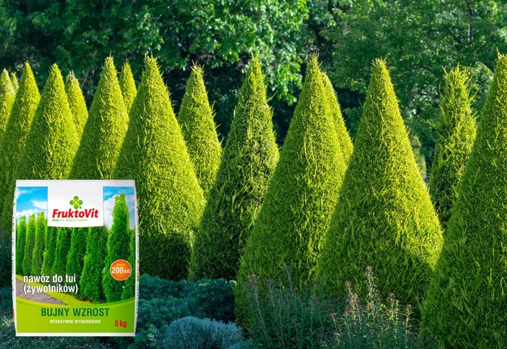 NAWÓZ DO TUJI ŻYWOTNIKÓW TUI THUI WIOSENNY FRUKTOVIT PLUS WYBARWIANIE
