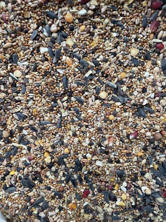 KARMA DLA PTAKÓW 20kg POKARM DROBNE ZIARNO DO KARMNIKA PTASI PRZYSMAK