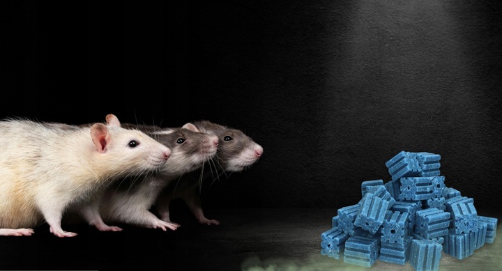 RATIMOR Trutka na myszy i szczury - Kostka woskowa Brodifakum 29ppm