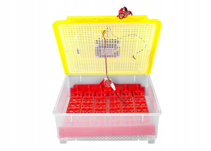 Kompletny zestaw INKUBATOR AUTOMATYCZNY DINO do 56 JAJ DROBIU Różne GATUNKI