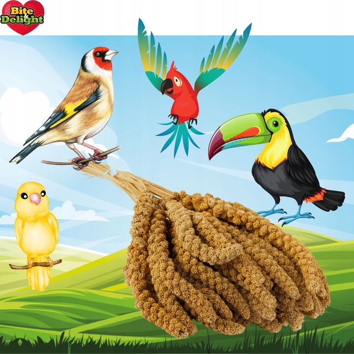 PROSO SENEGALSKIE BIAŁE + CZERWONE 0,5KG + 0,5KG CZYSTE DUŻE KŁOSY