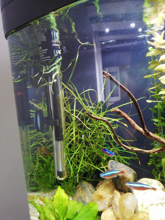 GRZAŁKA AKWARIOWA 300W DO AKWARIUM Z TERMOSTATEM 200-300 L