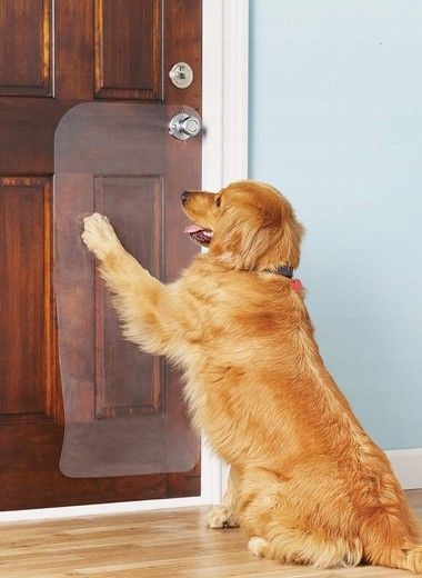 FOLIA OCHRONNA DRZWI MEBLE PRZECIW DRAPANIU 150X80 RAKLA FILC GRATIS