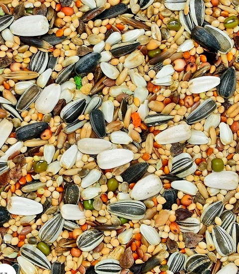 karma dla papug średnich ze słonecznikiem "Energy Taste" MDM PŚ 2 x 10kg fa