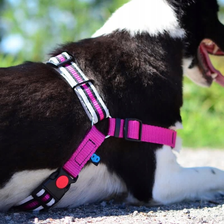 Szelki treningowe dla psa typu easy walk, ODBLASKI