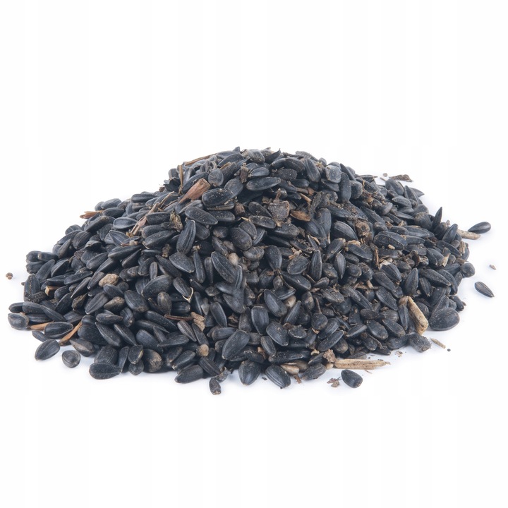 Karmnik Dla Ptaków Na Ziarno Duży Stojący Opalany Solidny + Słonecznik