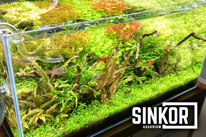 Sinkor LED II 30 cm WRB 12W z Wifi LED Control