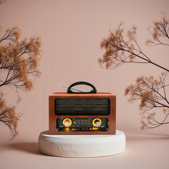 RADIO KUCHENNE NA AKUMULATOR PRZNOŚNE BLUETOOTH SIECIOWE BUDOWLANE