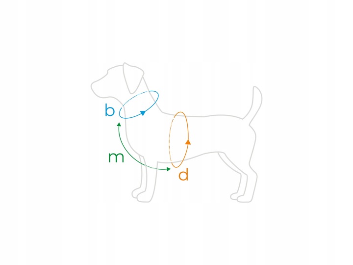 amiplay Szelki regulowane Guard BeHappy S Watermel