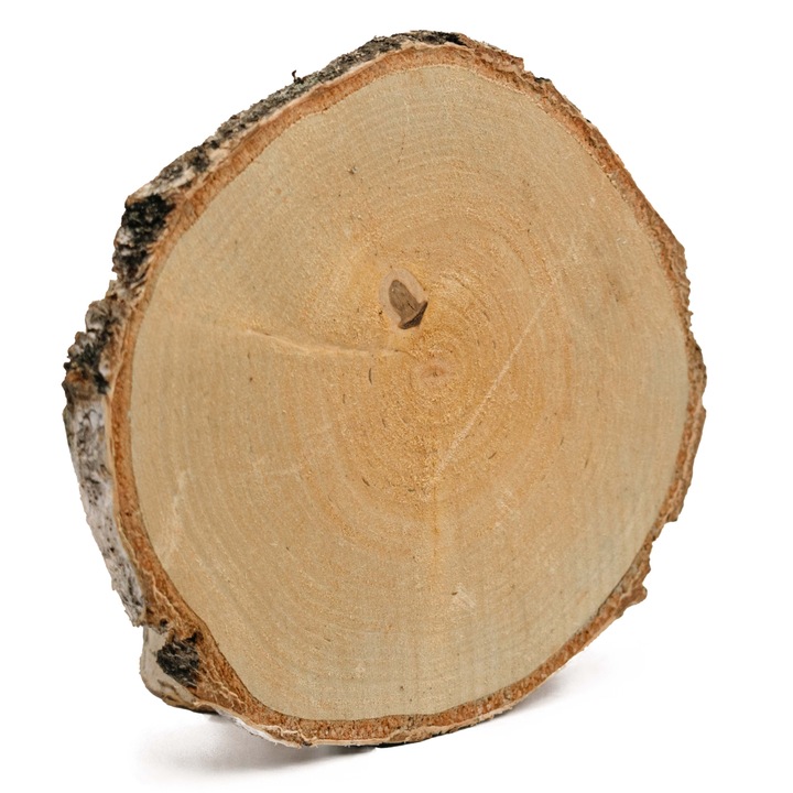 Plastry drewniane, plaster drewna, 10-16 cm