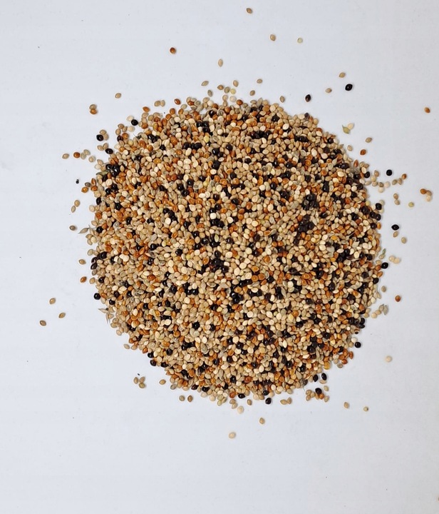 PetRa Proso ŚWIATA karma pokarm dla ptaków papug falistych egzotyka 10