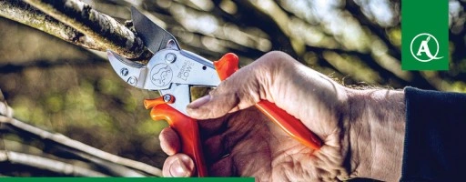 ZESTAW SEKATOR RĘCZNY do CIĘCIA GRUBYCH GAŁĘZI LOWE 10 .107 + OSTRZAŁKA