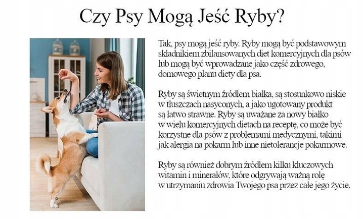 Natural Kitty Premium 100% Kurczak & Dynia x 3