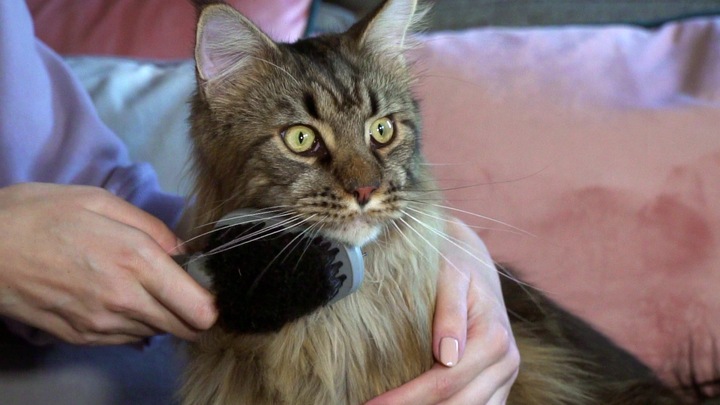 FURminator Szczotka dwustronna