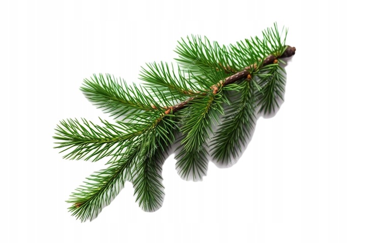 ŻWIREK PELLET DREWNIANY DLA KOTA KRÓLIKA ŚWINKI 10KG JASNY ODPYLONY