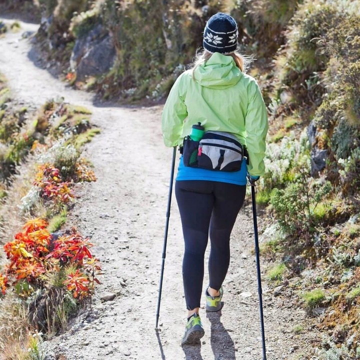 Kijki do Chodzenia Trekingowe Nordic Walking Kije Trekkingowe Teleskopowe