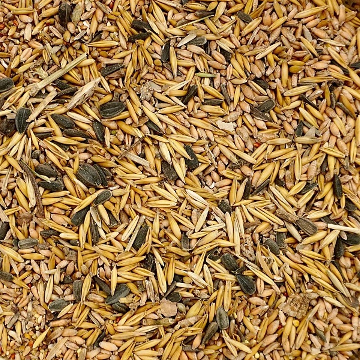 20kg Uniwersalna Karma dla Ptaków Ziarno Pokarm Zimowy Karmnik Champi