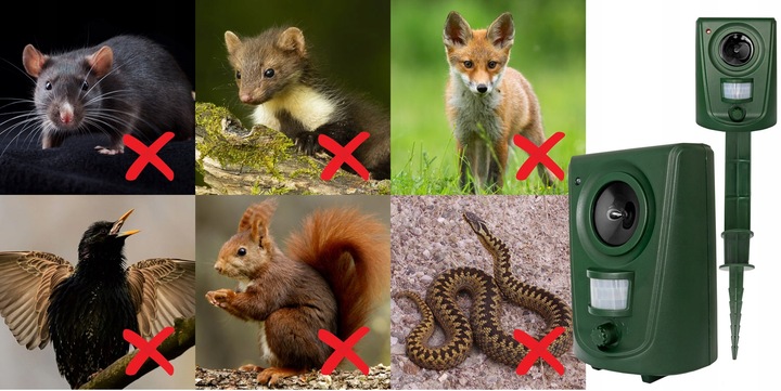 ODSTRASZACZ ULTRADŹWIĘKOWY ZWIERZĄT GRYZONI KOTÓW PSÓW DZIKÓW PTAKÓW