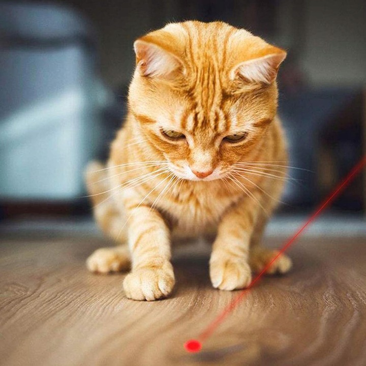 Laser dla kota Wskaźnik laserowy dla kota USB 3w1 latarka UV