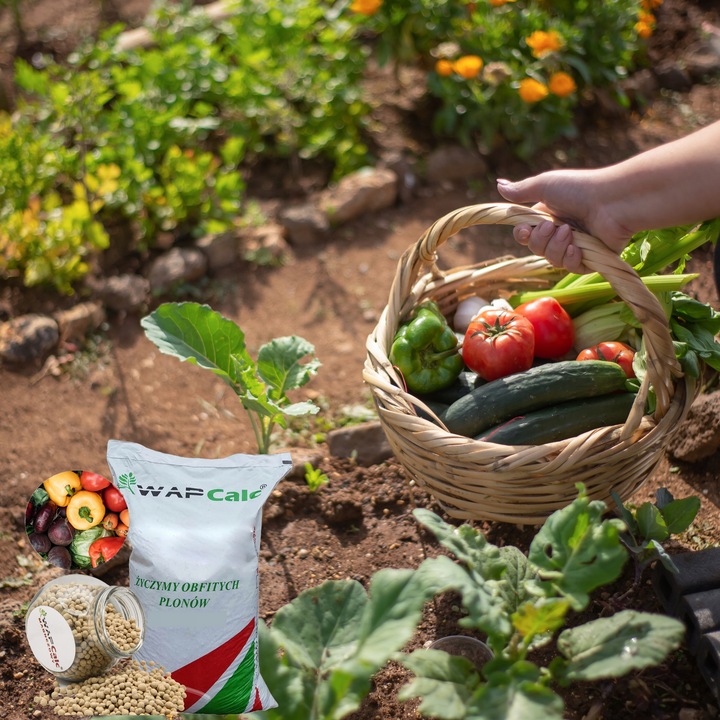 Wapno Granulowane Magnezowe 24,4 kg Dolomit do Trawnika Ogrodowe